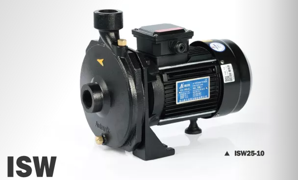ISW25-10
